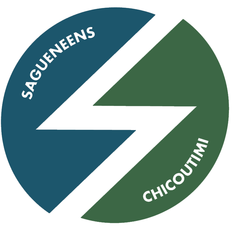 chicoutimi sagueneens 1973-1978 primary logo iron on heat transfer